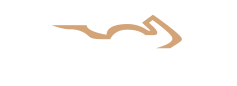 sportivo veloce motori logo